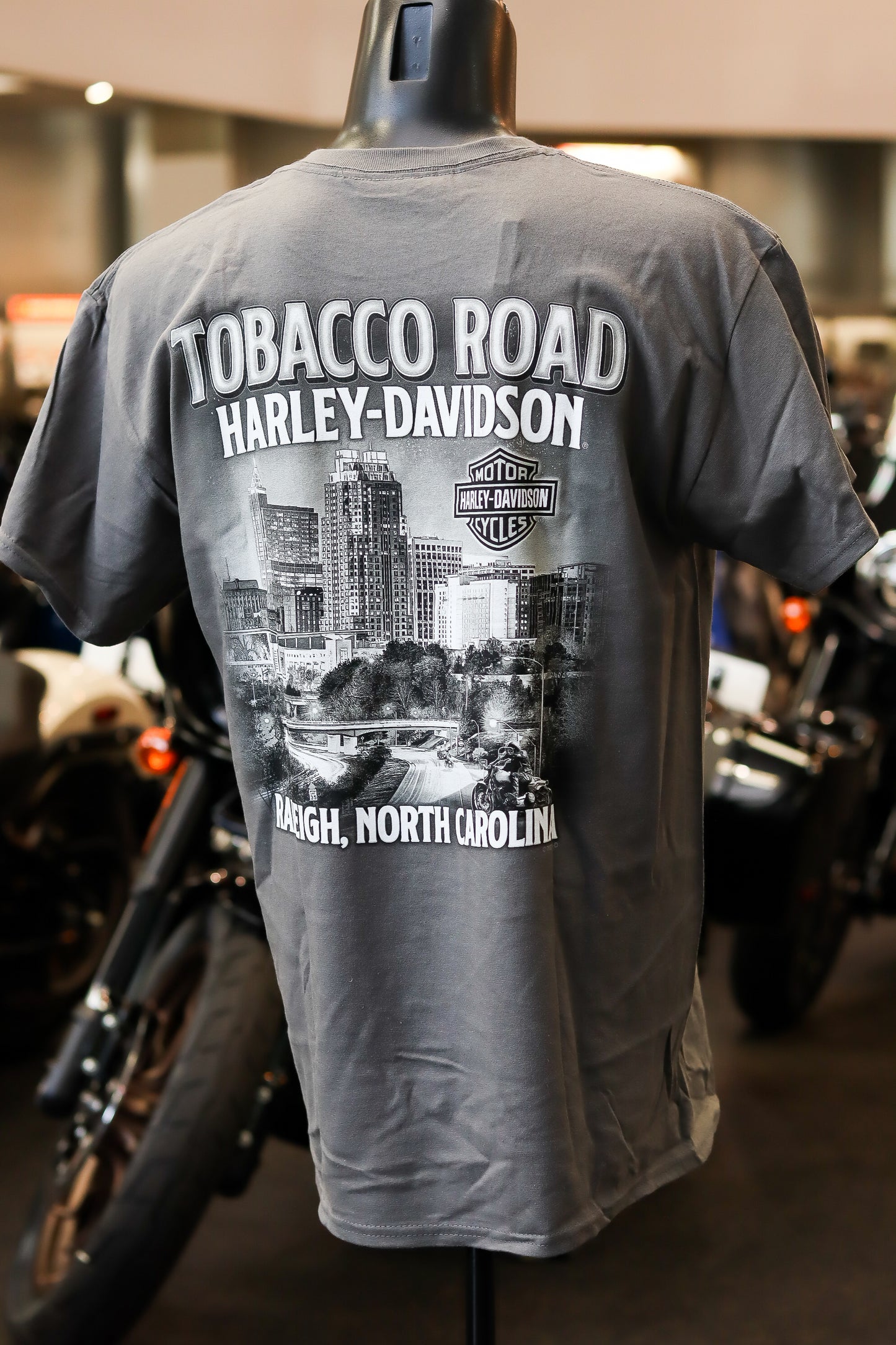 Skyline Grey T-Shirt